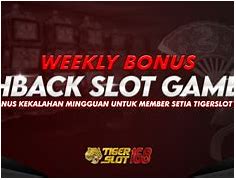 Bukti Wd Main Slot Apakah Aman Di Indonesia